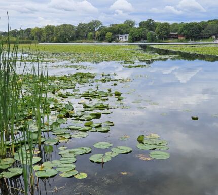 Plymouth Creek